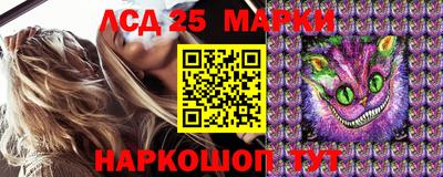 прущие крисы Будённовск