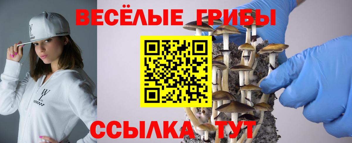 Псилоцибиновые грибы MAGIC MUSHROOMS  Вход с VPN  где продают   Прокопьевск  Галлюциногенные грибы прущие грибы 